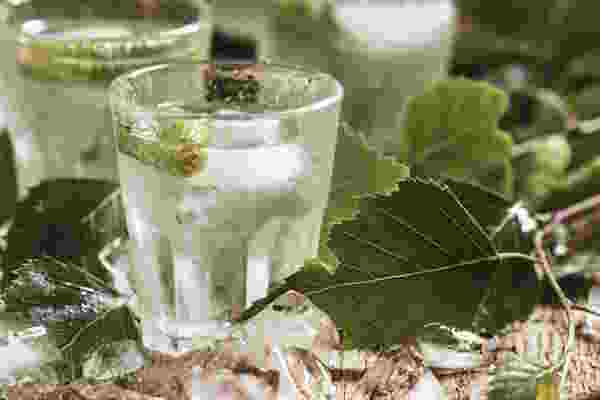 LIMCA