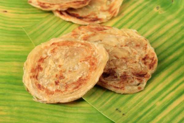 MALBAR PAROTTA (1PCS)